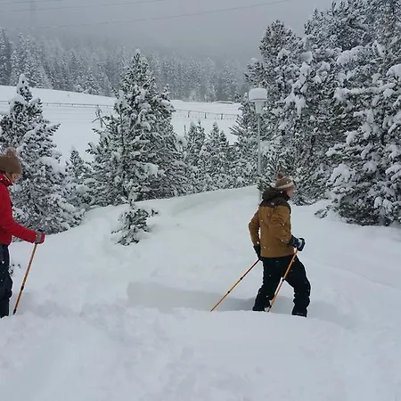 Affittacamere Sonnenhof *