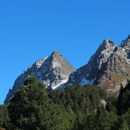 Pensión Sonnenhof Preda