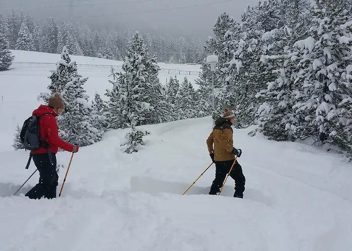 Casa de hóspedes Sonnenhof *