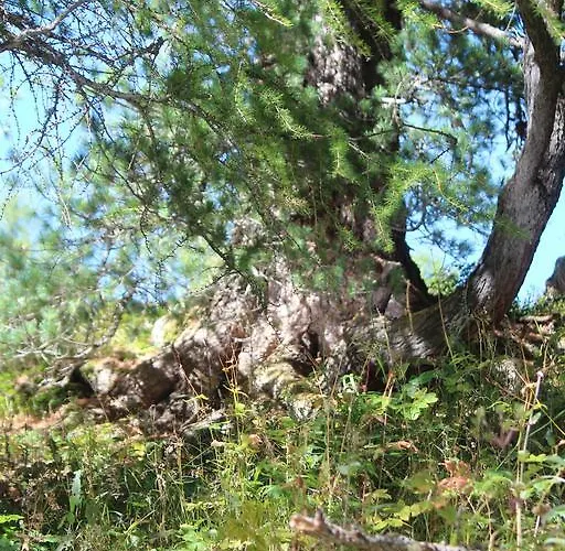 Casa de hóspedes Sonnenhof