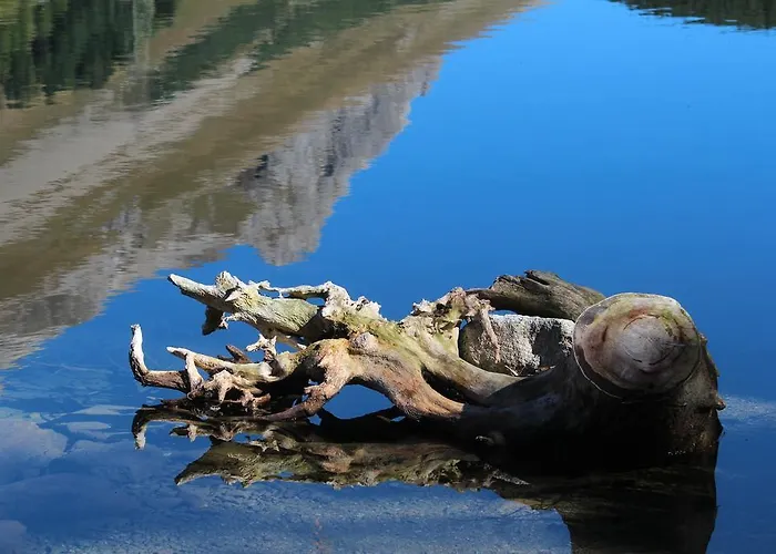 Casa de hóspedes Sonnenhof *